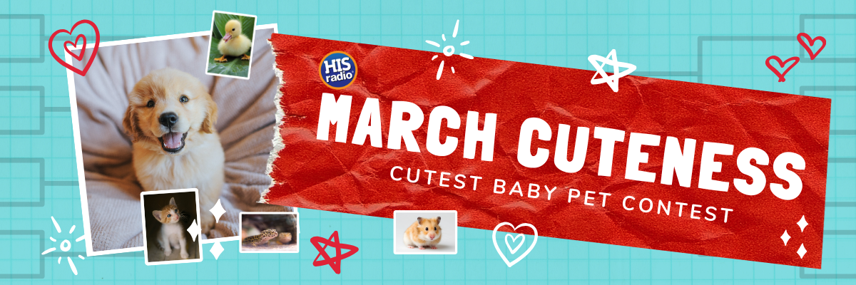 March Cuteness