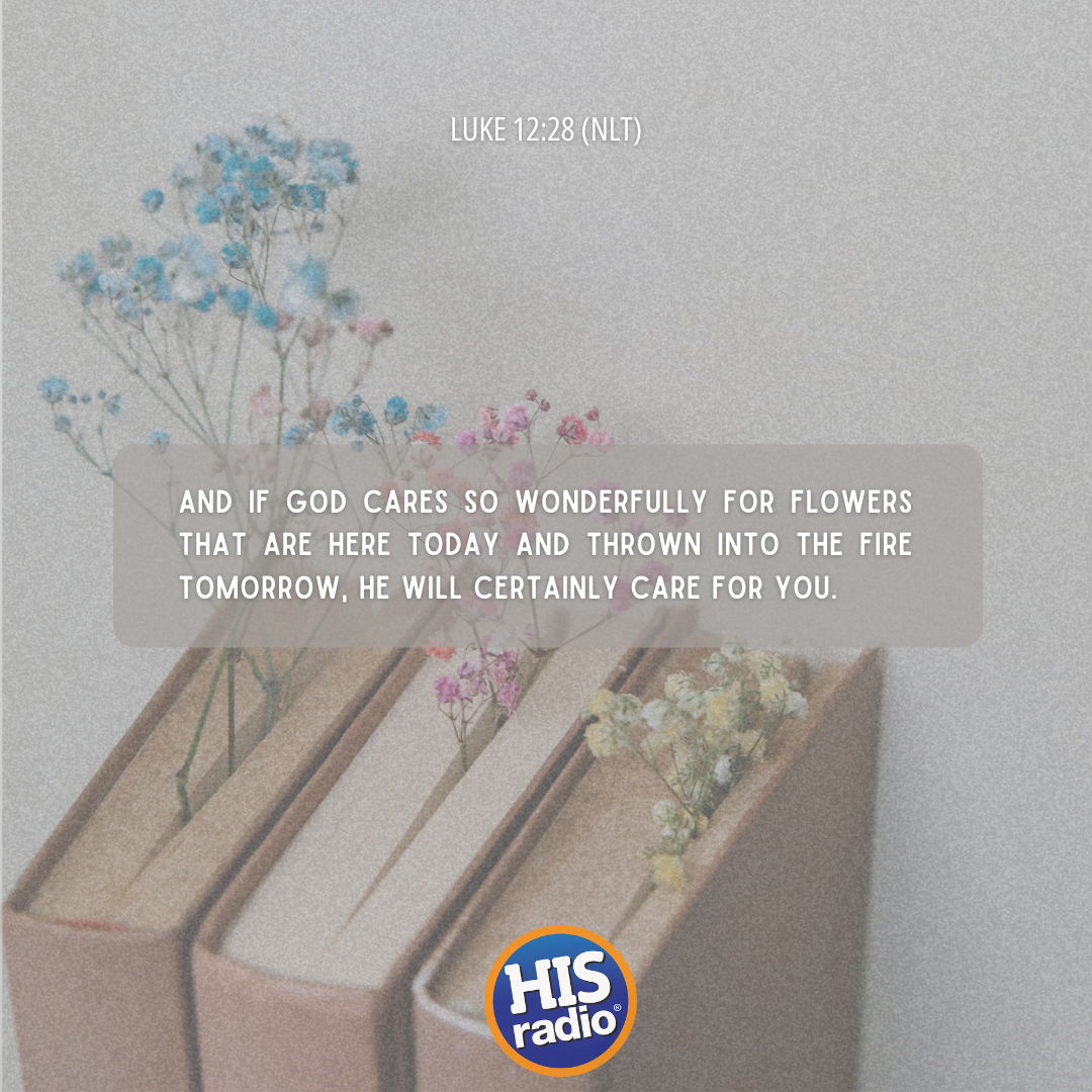Luke 12:28