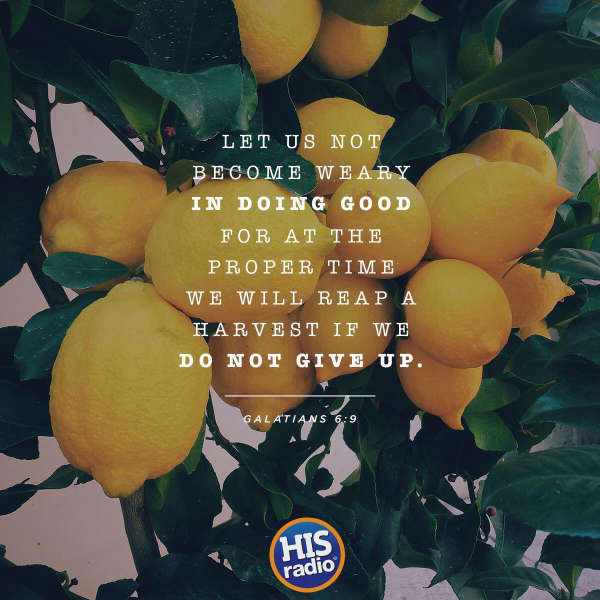 Galatians 6:9
