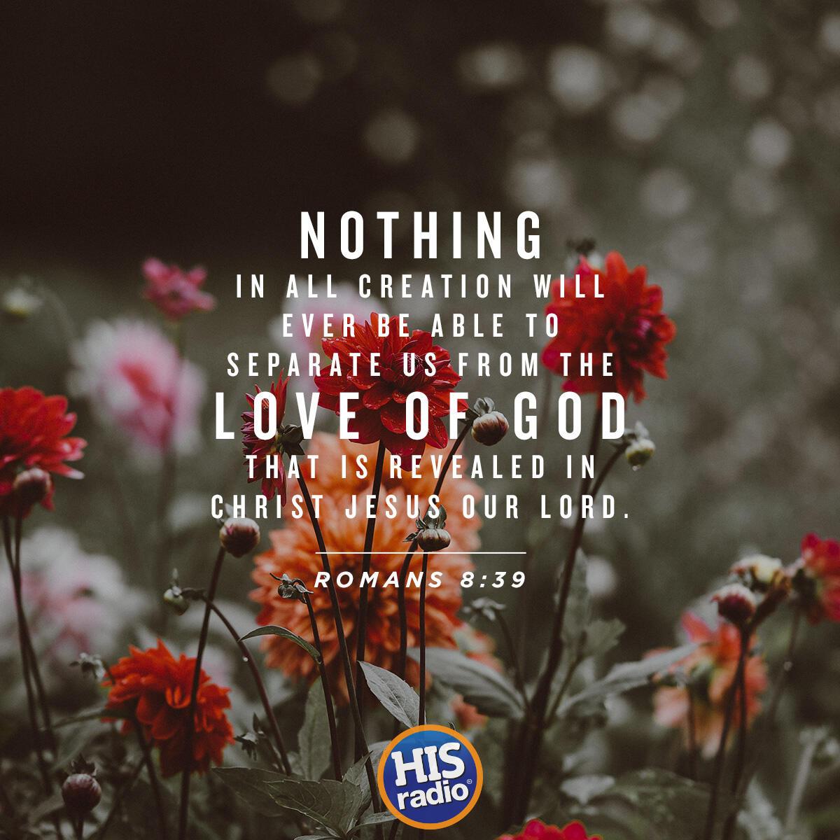 Romans 8:39 - Verse of the Day