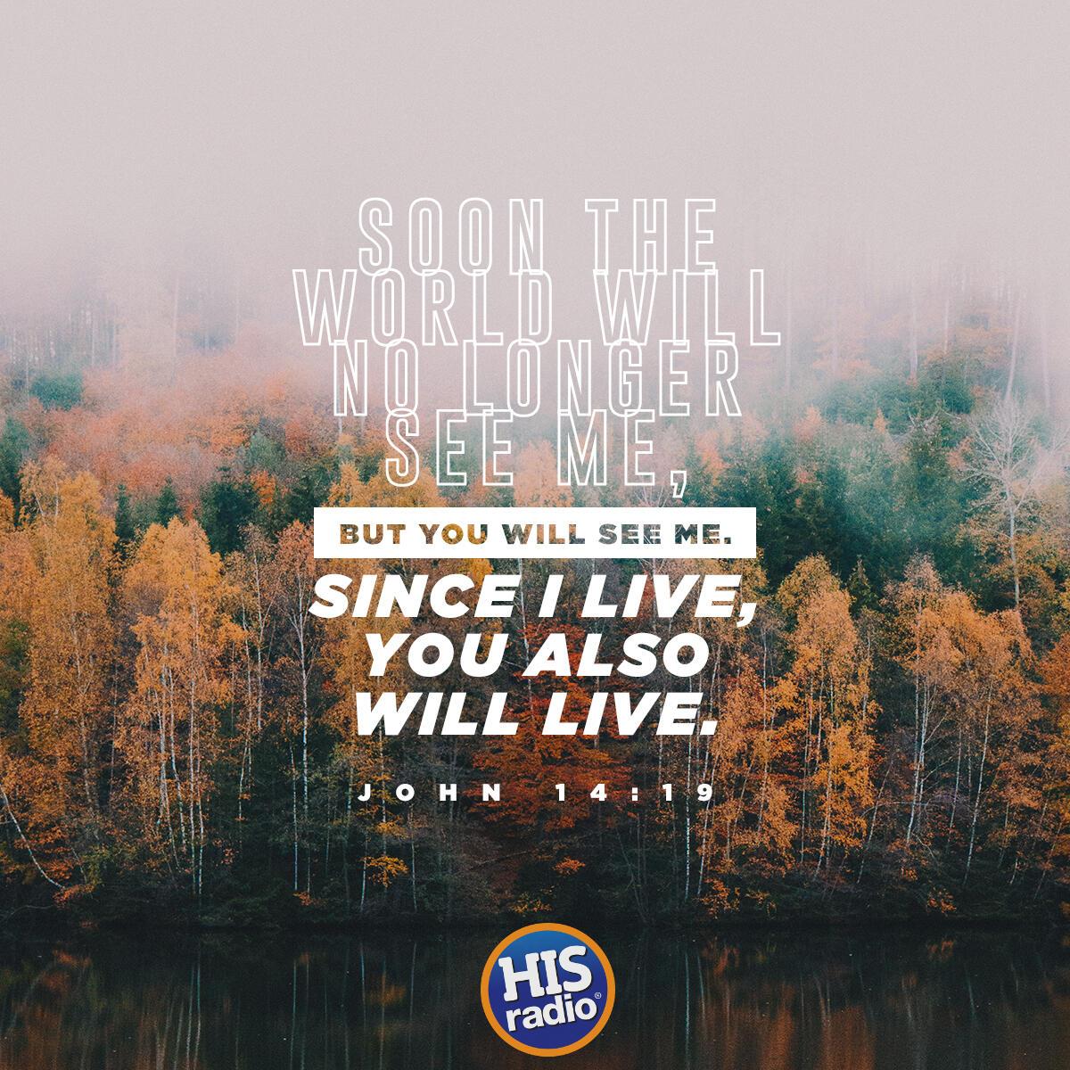 John 14:19 - Verse of the Day